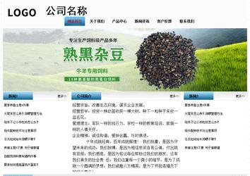 經(jīng)濟型成品案例站No:7923