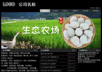 經(jīng)濟型成品案例站No:8248