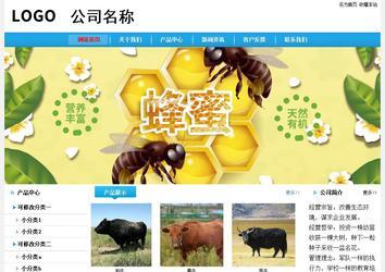 經(jīng)濟型成品案例站No:8249