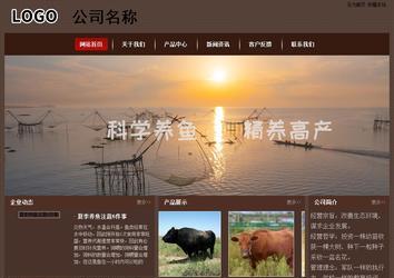 經(jīng)濟型成品案例站No:8255