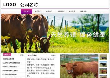 經(jīng)濟型成品案例站No:8259