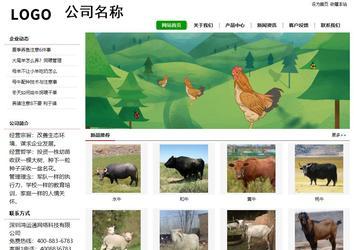 經(jīng)濟型成品案例站No:8260