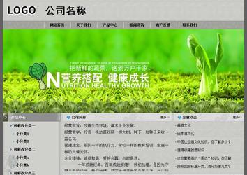 經(jīng)濟型成品案例站No:8370